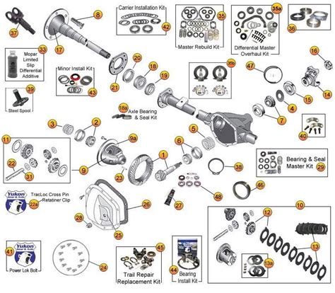 dana 44 rear axle diagram 