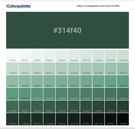 dark green number code, Dark green / #013220 hex color code the color dark green with
