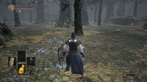 Dark Souls Swamp Walkthrough