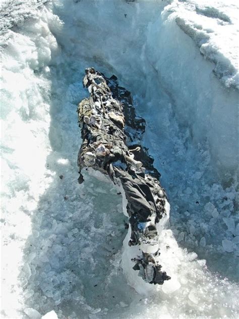 dead body found in ice machine