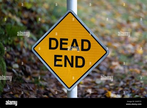 dead-end sign, Dead end sign from dornbos sign & safety inc.. W14 dornbos