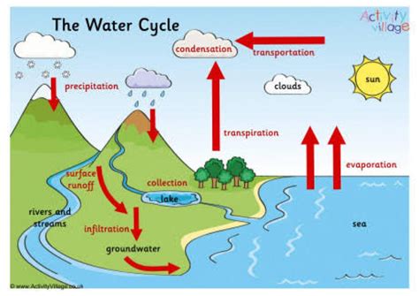 describe water cycle with the help of diagram 