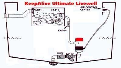 diagram of a live well 