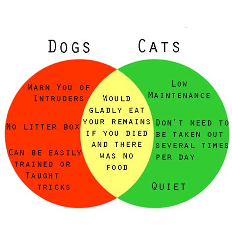 diagram of cats and dogs 