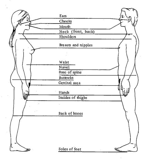 diagram of erogenous zone 