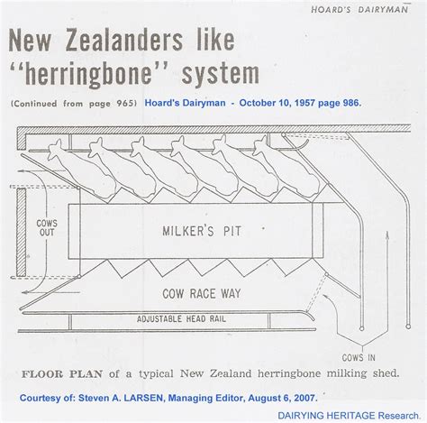 diagram of herringbone milking 