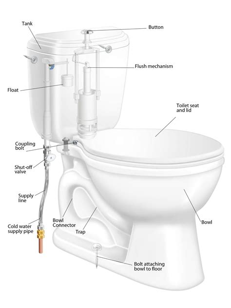 diagram of parts of toilet 