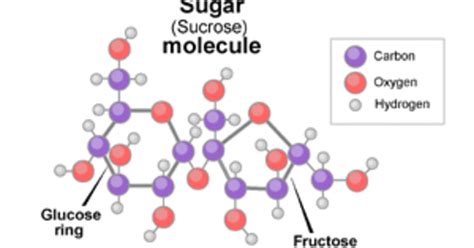 diagram of sugar 