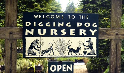 Digging Dog Nursery Catalog