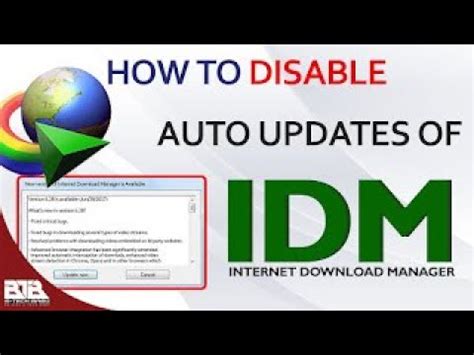 disable auto update internet download manager, Easy fix: software update is trying to authenticate user