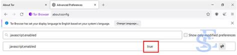 disabling javascript in tor, Disabling javascript in tor browser : tor