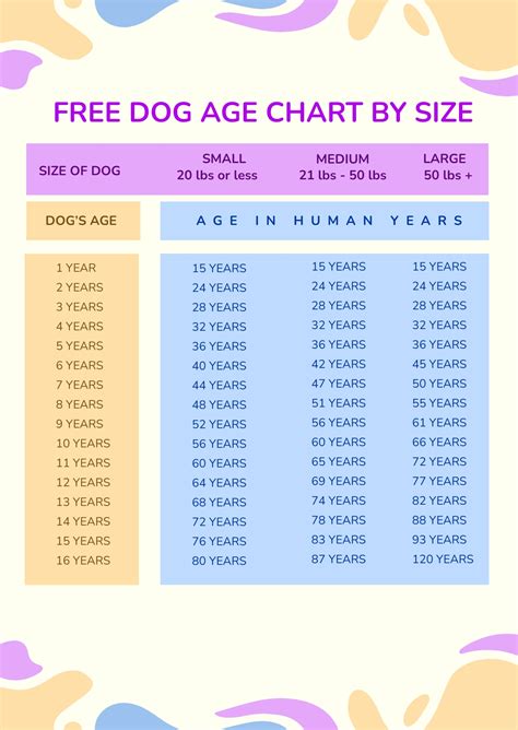Dog Age Size Chart