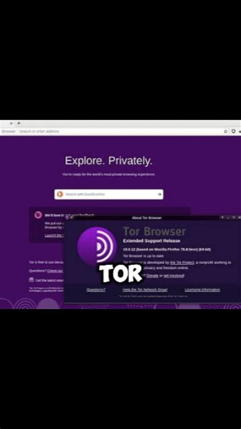 download 'tor browser' from https //www.torproject.org/ and install it, How to download and install tor browser on windows?