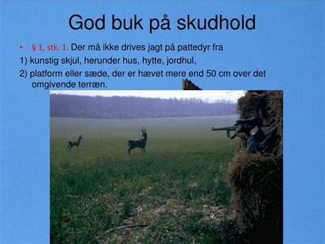 download På Skudhold