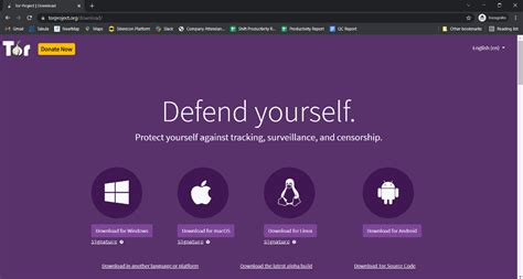 download browser tor for pc, How to download and install tor browser on windows?