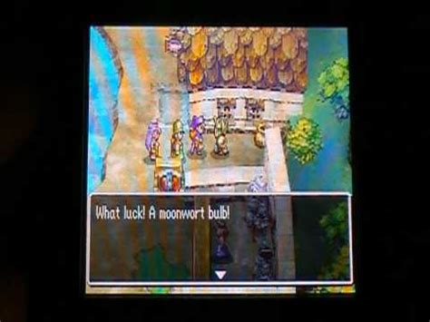 Dragon Quest Ds Walkthrough
