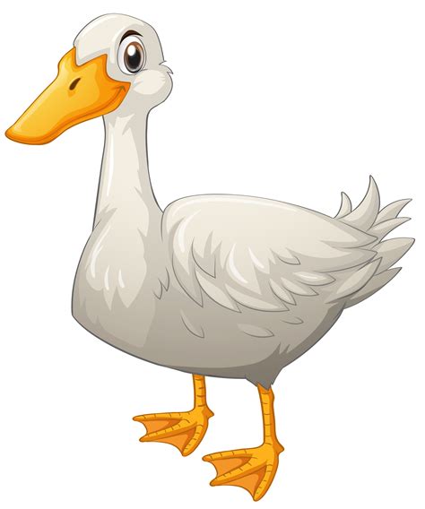 duck vector art in white background, White duck standing on white background 526612 vector art at vecteezy. Duck white background vector clipart standing graphics