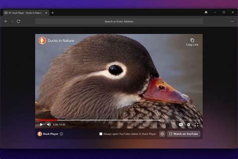 duckduckgo and browser security, Duckduckgo mobile privacy browser: our review. Duckduckgo browser privacy logo mobile screen