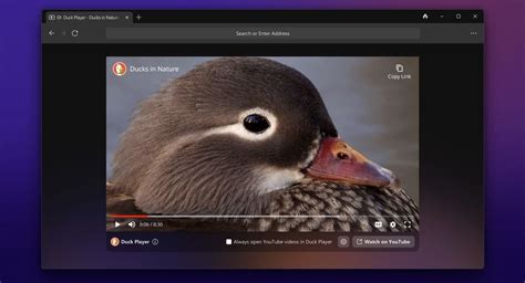 duckduckgo windows browser review, Duckduckgo browser for windows 11: how to download & install