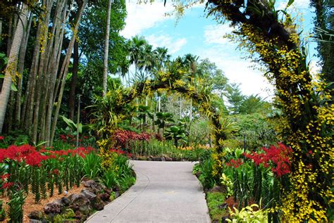 el gran botanico