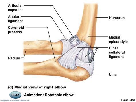 elbow diagram to label 