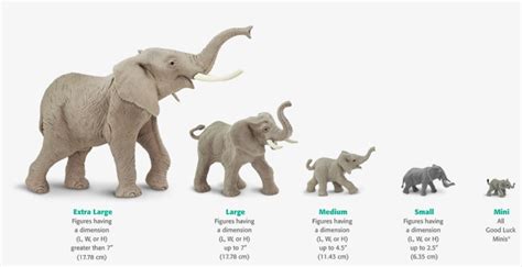 Elephant Weight Chart