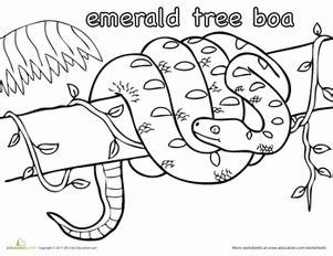 emerald tree boa coloring page, Emerald tree boa