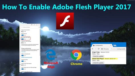 enable adobe flash player, How to enable adobe flash player on your web browser?. Flash adobe player enable browser web browsers
