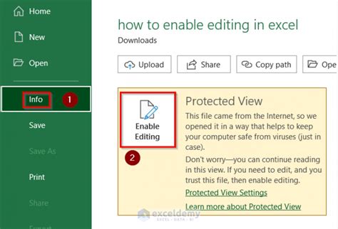 enable excel file sharing for editing, Editing enable button access protected exit lv0 ws. How to enable editing in excel vba