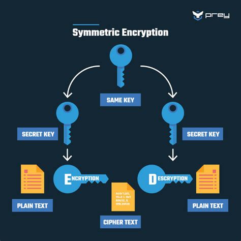encryption analysis illustration image, Data encryption concept illustration, editable design 6069206 vector