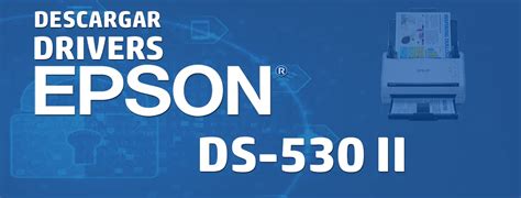 epson ds 530 ii driver, Rumore fantasioso albany color photo scanner assorbente piano di