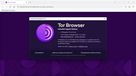 exemple navigateur web tor browser, Comment bien choisir son navigateur web ?. Comment navigateur web choisir son
