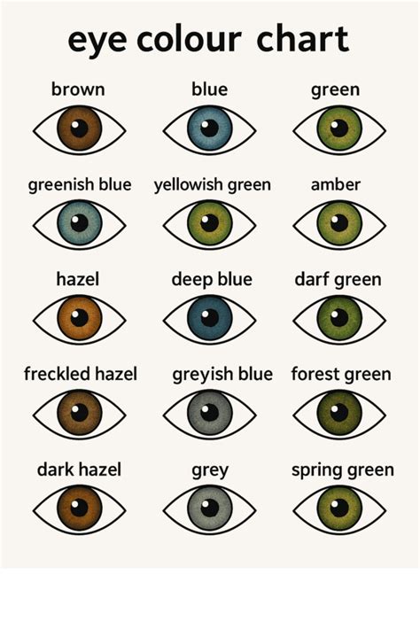 Eye Color Chart Numbers