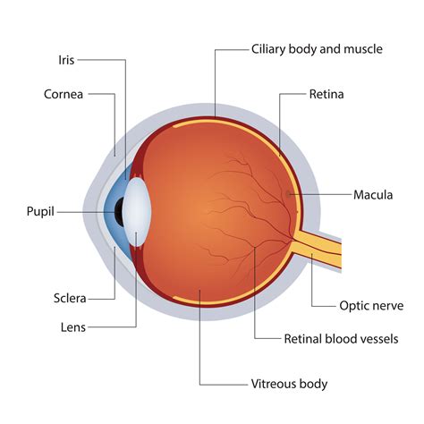 eye diagram basic 