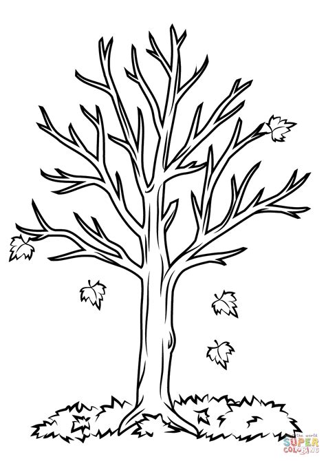 fall trees coloring pages printable, Apercu arbre automne coloriage happyassmat happy assmat