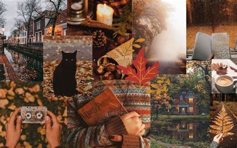 fall wallpaper desktop pinterest, 🔥 [0+] cute fall wallpapers. Wallpaper fall cute backgrounds autumn wallpapers desktop background cartoon gif wallpapersafari wallpapercave cave leaves trees wallpaperaccess tablet