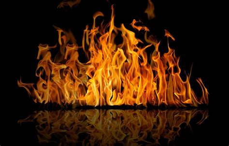 fire elment black background, Premium photo