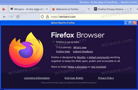 firefox browser updates for windows 7, Firefox mozilla. Mozilla firefox download for windows 8.1 free