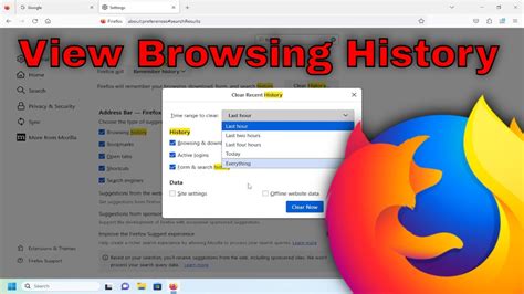 firefox browsing history location, History firefox clear mozilla browsing delete back wintips stored deleted easy options window. Firefox browsing delete
