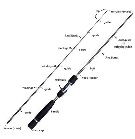 fishing pole and reel diagram 