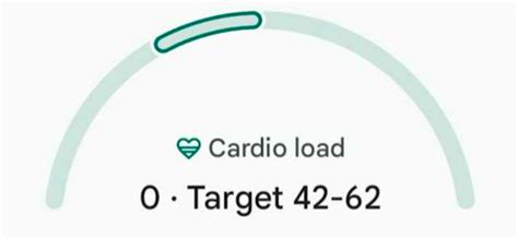 Fitbit Cardio Load Chart