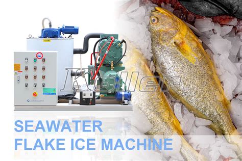 flake ice machine for fish