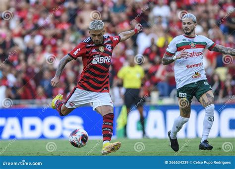 flamengo vs portuguesa