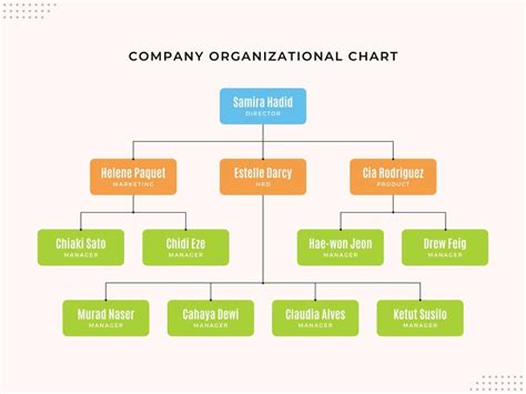 Flow Chart Of A Company