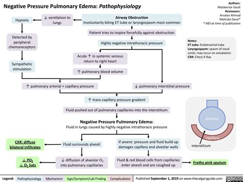 Flow Chart Pulmonary Edema Pathophysiology