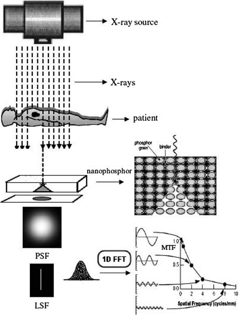 fluoroscopic imaging chain diagram 