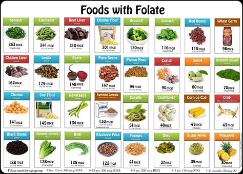 Folate Foods Chart