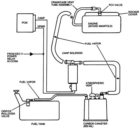 ford evap system diagram 