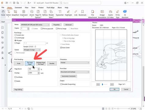 foxit blank print preview, Advanced printing options – help center