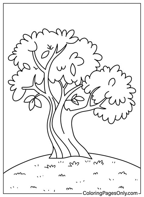 free tree coloring pages, Free printable tree coloring pages for kids. Tree coloring pages printable kids cool2bkids print sheets children printables choose board article